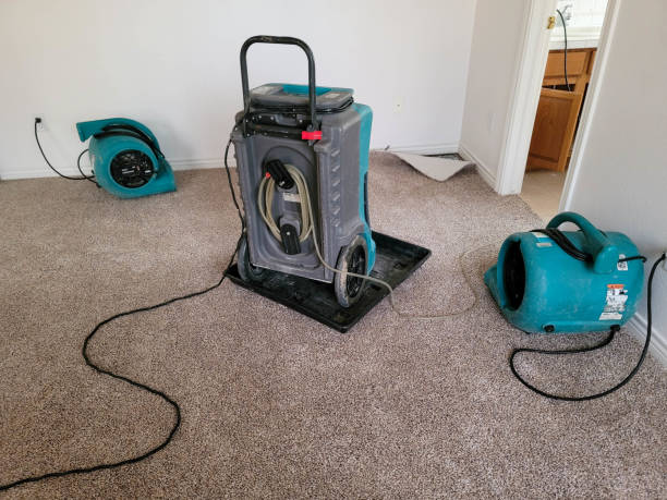 Best Professional water damage repair  in Williamston, NC
