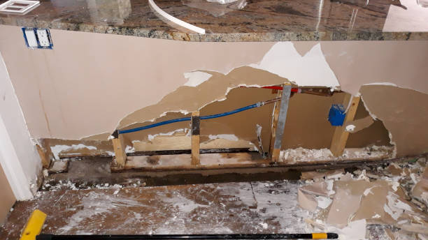 Best Fire Damage Restoration  in Williamston, NC