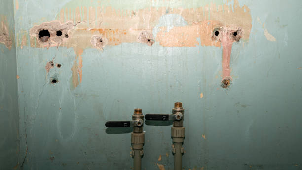 Best 24-hour water damage restoration  in Williamston, NC