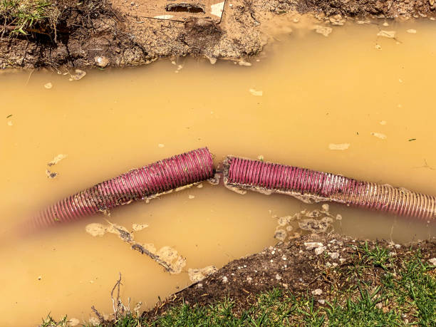  Williamston, NC Water damage restoration Pros