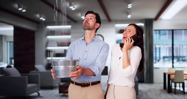 Best 24/7 water damage repair  in Williamston, NC