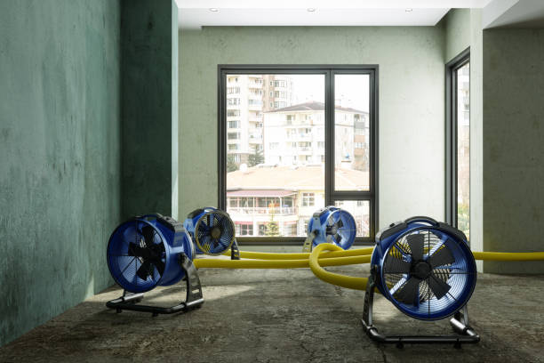 Best Ceiling water damage repair  in Williamston, NC