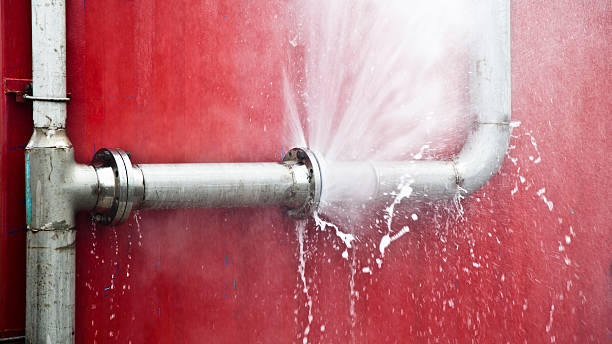 Best Water damage cleanup near me  in Williamston, NC